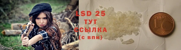 твердый Алзамай