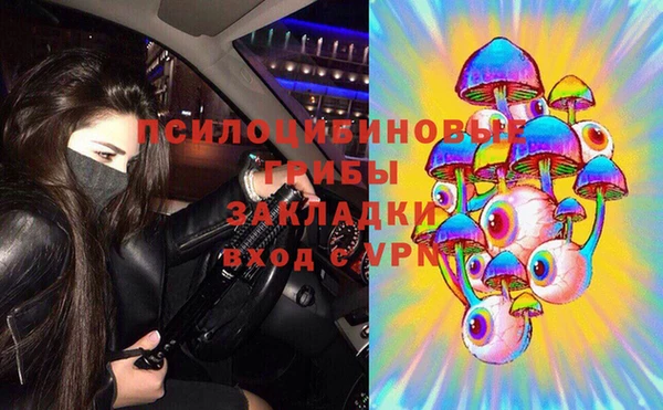 твердый Алексеевка
