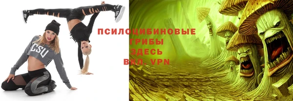 твердый Алексеевка