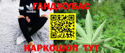 шишки Будённовск