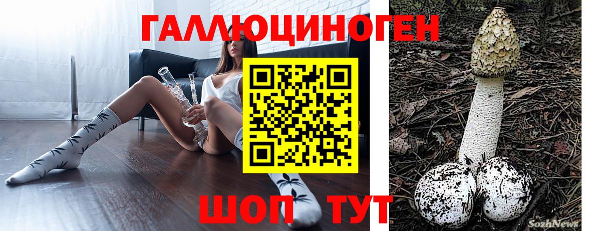 Галлюциногенные грибы GOLDEN TEACHER  Вход с VPN  Йошкар-Ола 